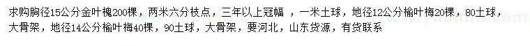 求購胸徑15公分金葉槐、地徑12、14公分榆葉梅