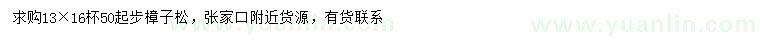 求購50公分以上樟子松