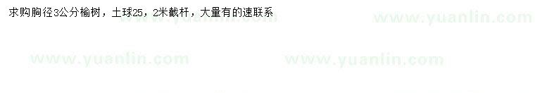 求購胸徑3公分榆樹