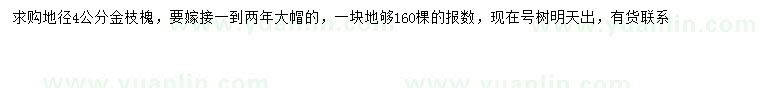 求購地徑4公分金枝槐