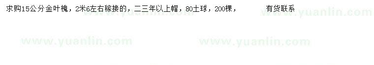 求購15公分金葉槐