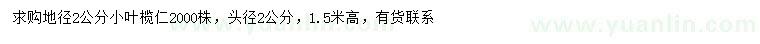 求購地徑2公分小葉欖仁