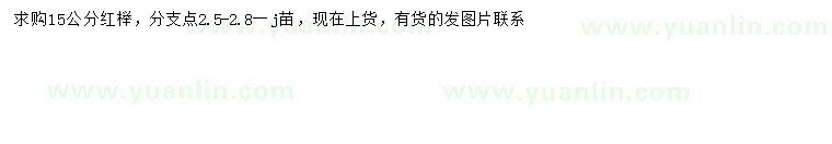 求購15公分紅櫸
