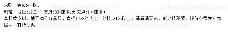 求購30量12公分高桿黃皮