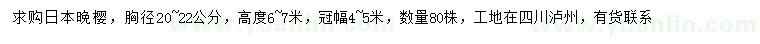 求購胸徑20-22公分日本晚櫻