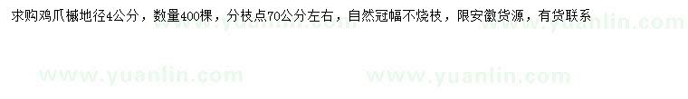 求購(gòu)地徑4公分雞爪槭