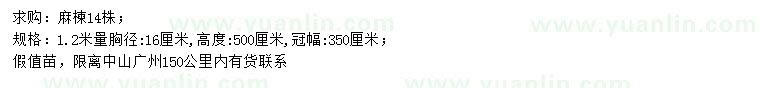 求購1.2米量16公分麻楝