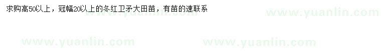 求購高50公分以上冬紅衛(wèi)矛