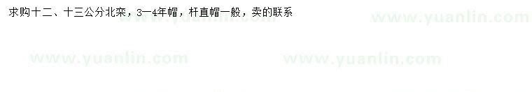 求購12、13公分北欒