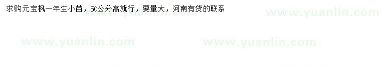 求購高50公分元寶楓小苗