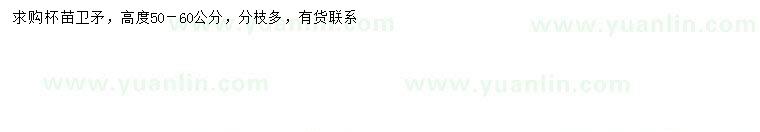 求購(gòu)高50-60公分衛(wèi)矛