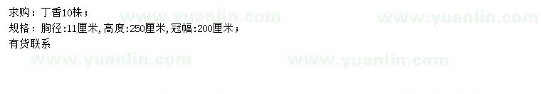 求購(gòu)胸徑11公分丁香