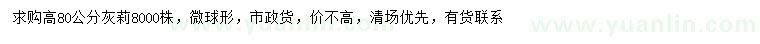 求購(gòu)高80公分灰莉