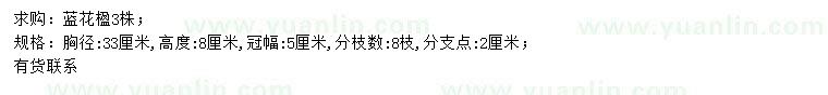 求購(gòu)胸徑33公分藍(lán)花楹
