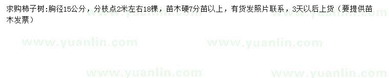 求購胸徑15公分杮子樹