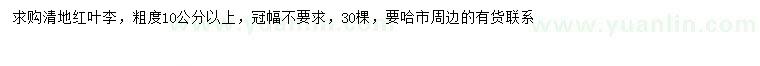 求購10公分以上紅葉李