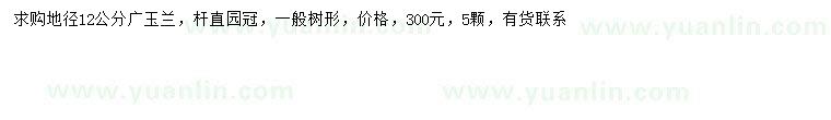 求購地徑12公分廣玉蘭