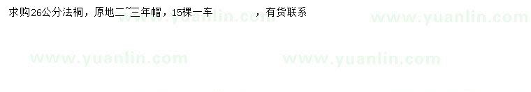 求購26公分法桐
