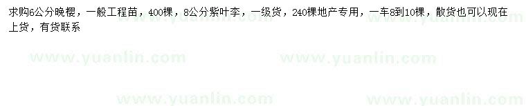 求購(gòu)6公分晚櫻、8公分紫葉李