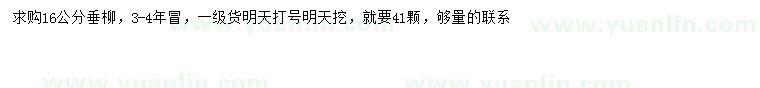 求購16公分垂柳