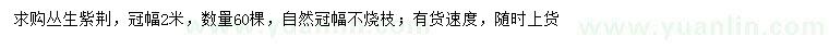 求購冠幅2米叢生紫荊