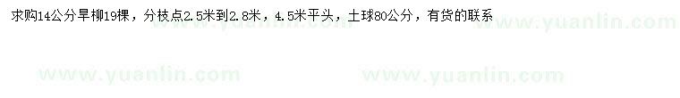 求購14公分旱柳