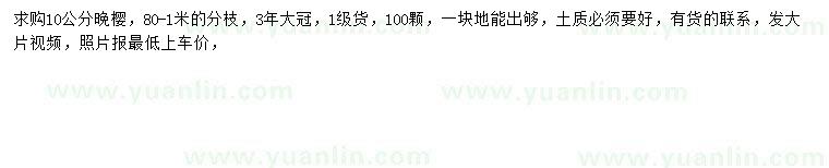 求購10公分晚櫻