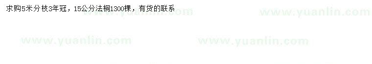 求購15公分法桐