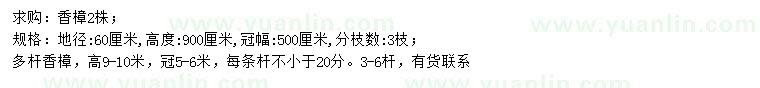 求購(gòu)地徑60公分香樟