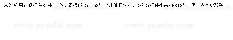 求購0.8公分以上連翹、30、100公分油松