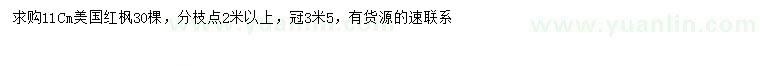 求購11公分美國紅楓