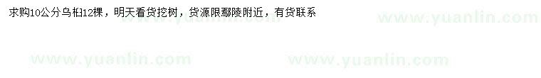 求購(gòu)10公分烏桕