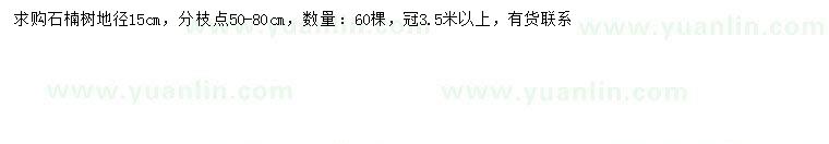 求購地徑15公分石楠