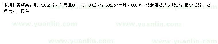 求購地徑10公分北美海棠