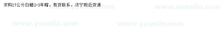 求購(gòu)17公分白蠟
