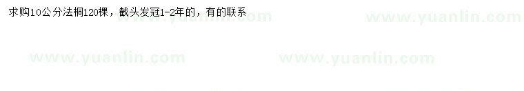 求購10公分法桐