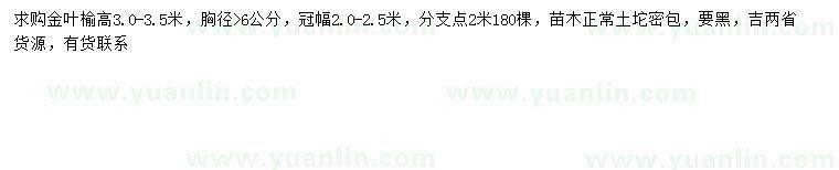 求購高3-3.5米金葉榆