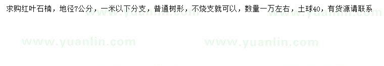 求購(gòu)地徑7公分紅葉石楠
