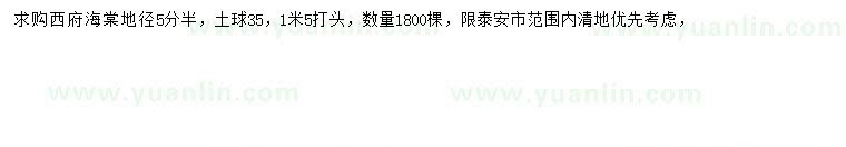 求購(gòu)地徑5.5公分西府海棠