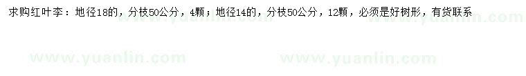 求購地徑14、18公分紅葉李