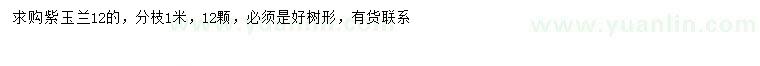 求購12公分紫玉蘭