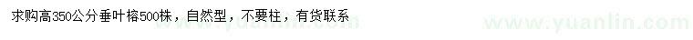 求購(gòu)高350公分垂葉榕