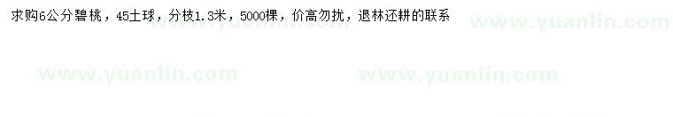 求購6公分碧桃