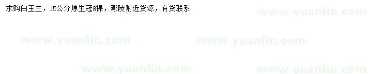 求購(gòu)15公分白玉蘭
