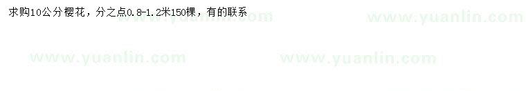 求購10公分櫻花