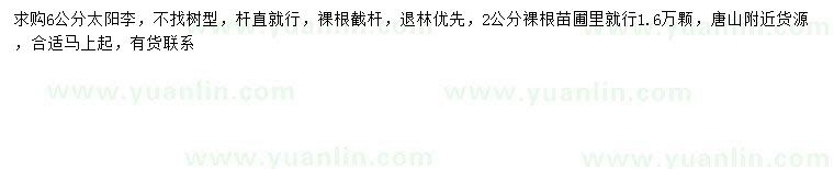 求購2、6公分太陽李
