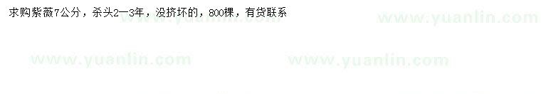 求購7公分紫薇