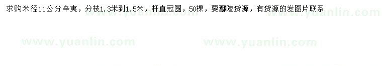 求購米徑11公分辛夷