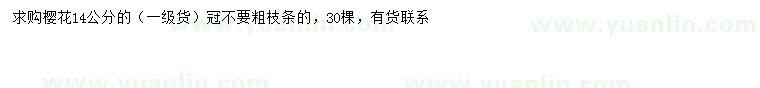 求購14公分櫻花