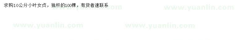 求購10公分小葉女貞